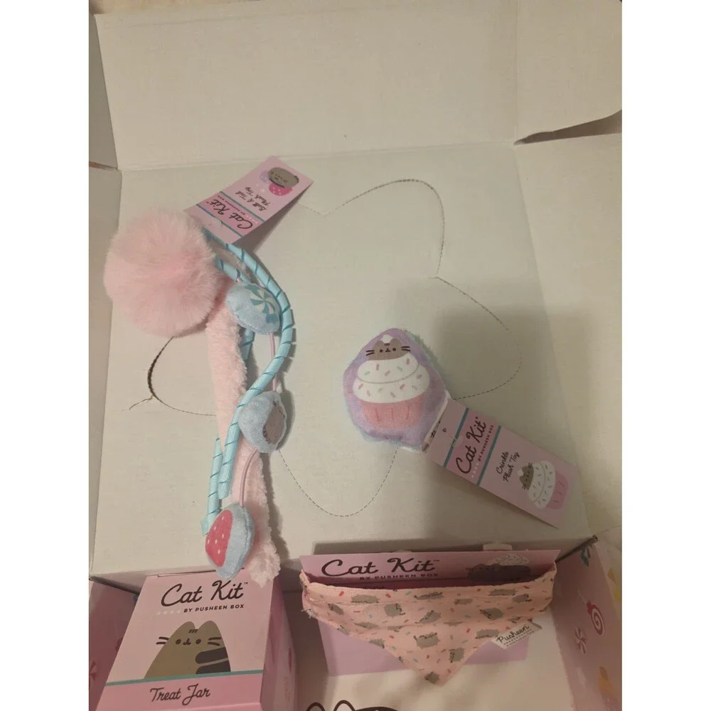 2025 Pusheen winter cat box new
